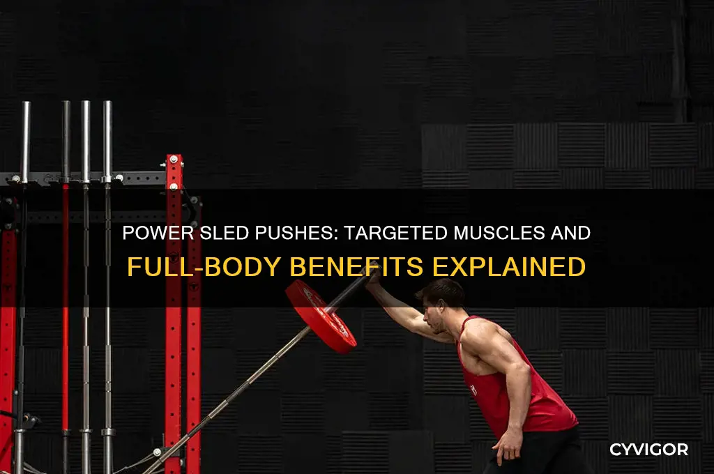 what muscles power sled pushes work