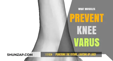 Prevent Knee Varus: Strengthen These Muscles