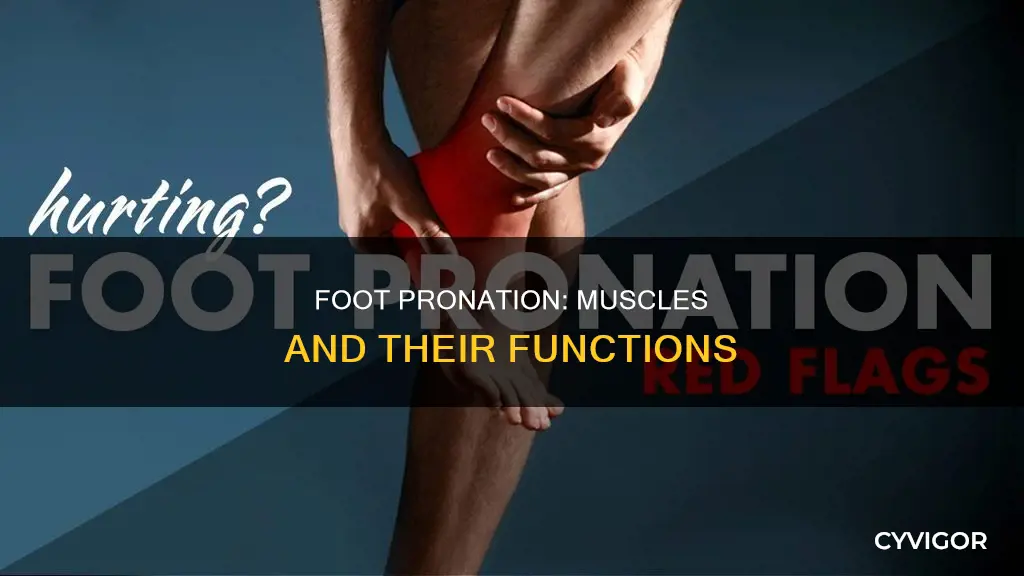 what muscles pronate the foot