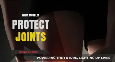 Protecting Joints: The Role of Muscles and Movement