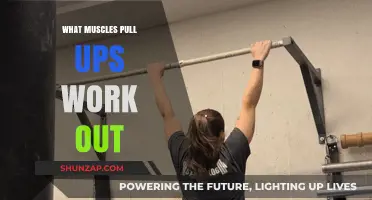 Pull-Ups: Targeting Back, Arms, and Core Muscles Effectively