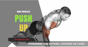 Push-ups: Which Muscles Do They Work?