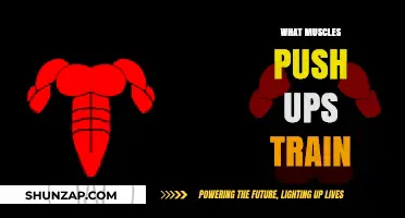 Push-Ups: Training Your Upper Body Strength