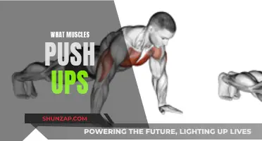Push-ups: The Ultimate Upper-Body Workout for You