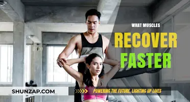 Muscle Recovery: What Factors Influence Faster Healing?