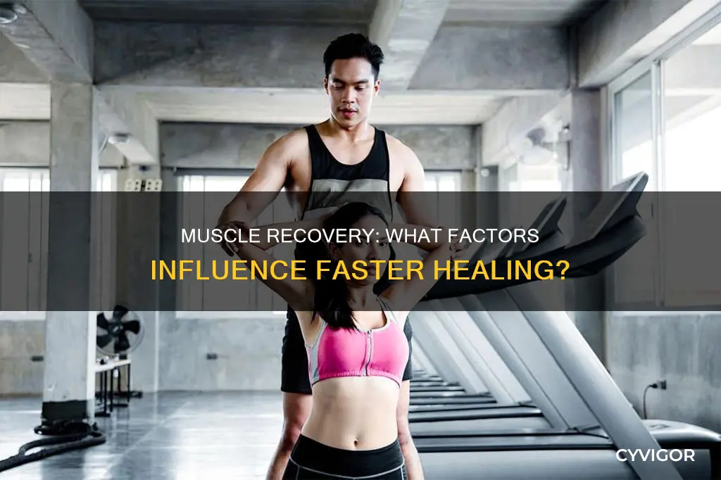 what muscles recover faster