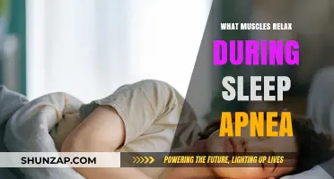 Muscles Affected by Sleep Apnea: Understanding Relaxation During Episodes