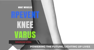 Stronger Muscles, Stable Knees