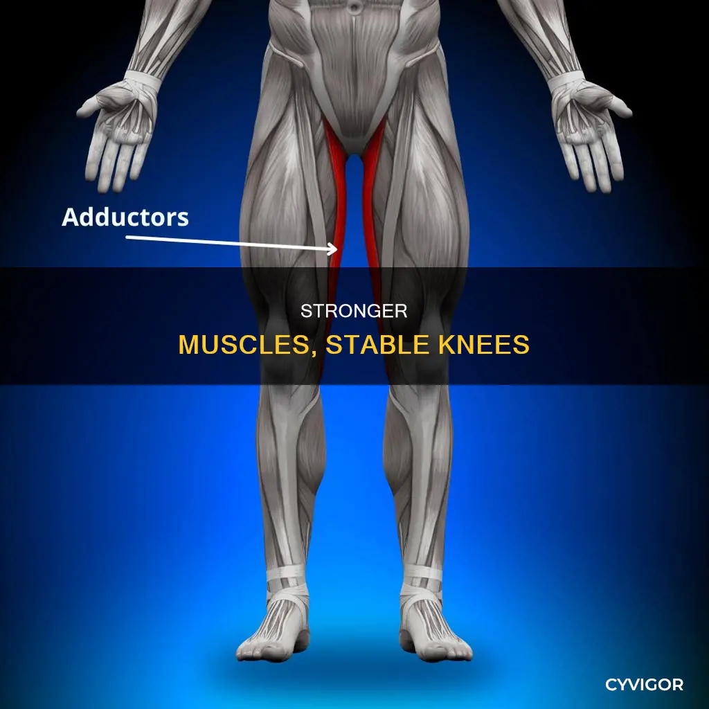 what muscles rpevent knee varus