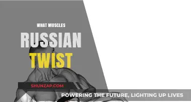 Russian Twists: Which Muscles Do They Target?
