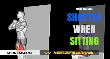 Sitting's Negative Impact: Shortened Muscles and How to Fix Them