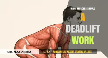 Deadlift Muscles: Targeted Groups and Proper Form for Strength Gains