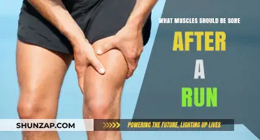 Post-Run Muscle Soreness: Which Muscles Should Feel the Burn?