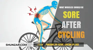 Cycling Muscle Soreness: Which Areas Should Feel the Burn Post-Ride?