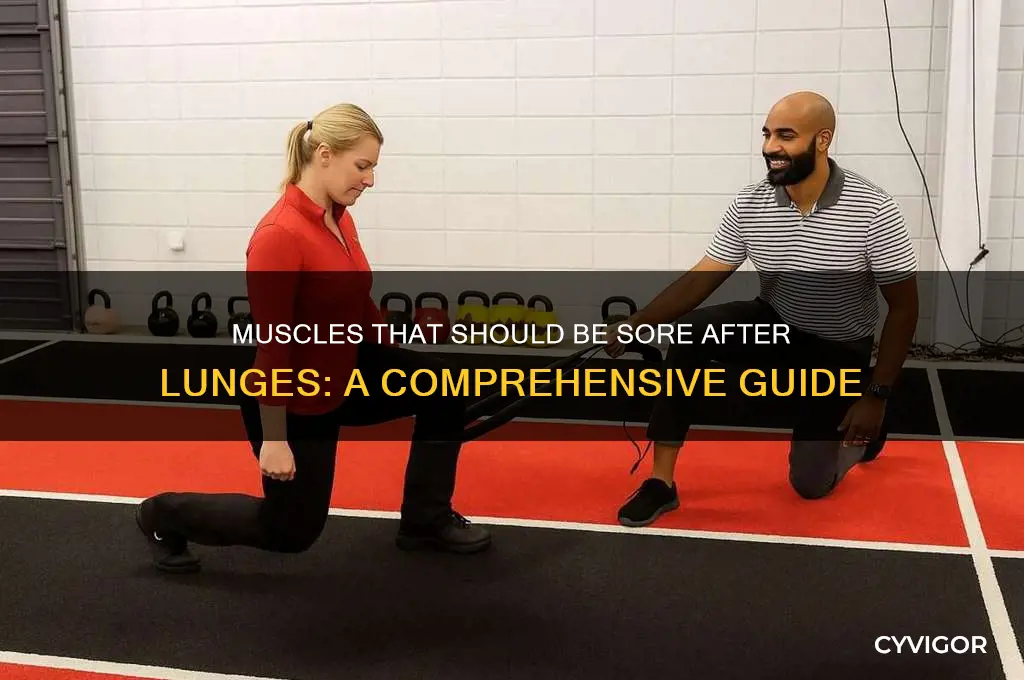 what muscles should be sore after lunges