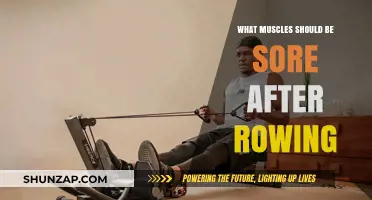 Rowing Muscle Soreness: Which Muscles Should Feel the Burn?