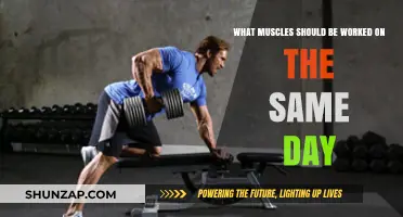 Effective Muscle Pairing: Optimize Your Workout Routine with Smart Combinations