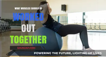 Effective Muscle Pairing: Optimize Your Workouts with Smart Group Training