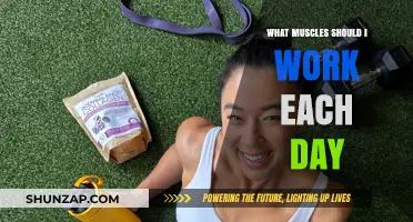 Daily Muscle Workout Plan: Targeting Key Groups for Optimal Results