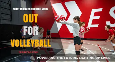 Essential Muscles to Train for Peak Volleyball Performance and Power
