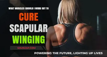 Targeted Exercises to Strengthen Muscles and Correct Scapular Winging