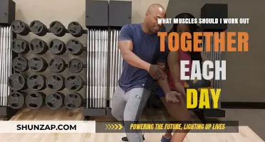 Effective Muscle Pairing: Daily Workout Combinations for Optimal Results