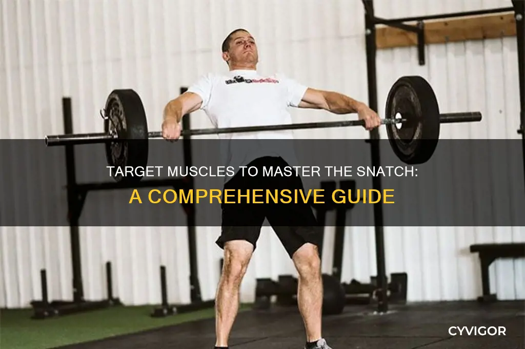 what muscles should i work to improve snatch