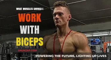 Maximize Arm Strength: Pair These Muscles with Your Biceps Workout