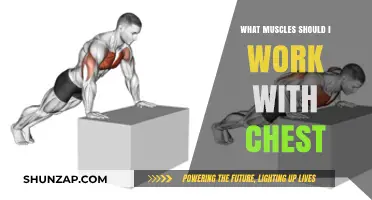 Maximize Chest Workouts: Essential Muscles to Train Alongside Your Pecs