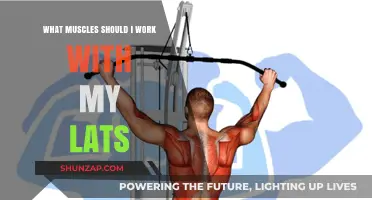 Maximize Back Strength: Best Muscle Pairings for Lat Workouts