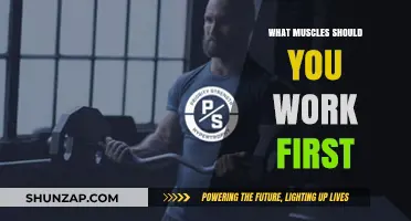 Prioritize Your Workout: Which Muscles to Train First for Optimal Results