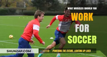 Essential Muscles to Train for Peak Soccer Performance and Agility
