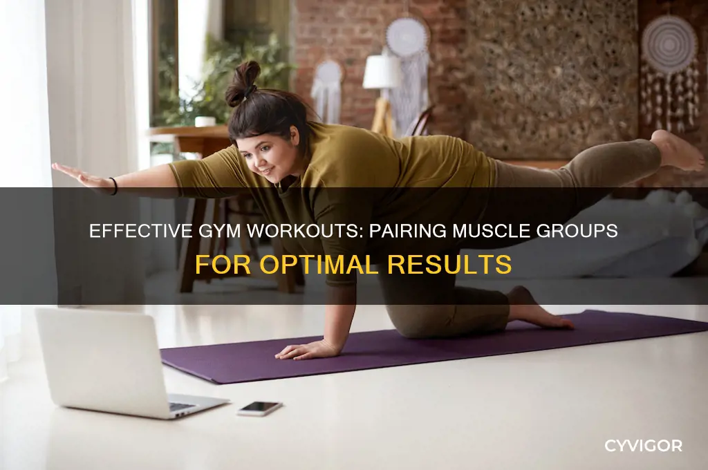 what muscles should you work out together at the gym