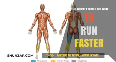 Boost Your Speed: Key Muscles to Train for Faster Running