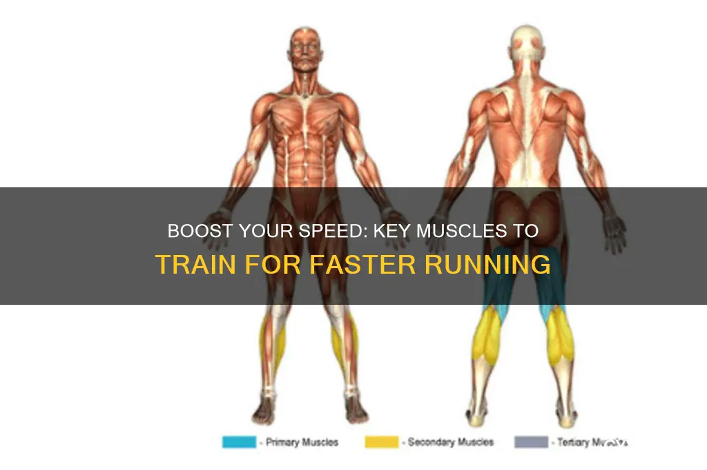 what muscles should you work to run faster