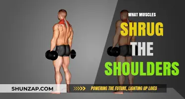 Shoulder Muscles: The Upper Trapezius Shrug