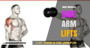 Side Arm Lifts: Targeted Muscles and Effective Workout Techniques