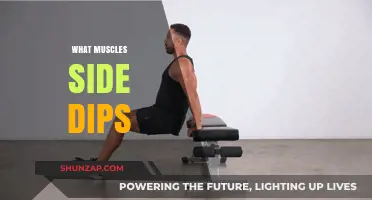 Dips Workout: Which Muscles Do Side Dips Target?