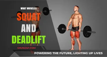 Master the Squat and Deadlift: Target These Muscles