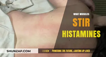 How Muscles and Histamines Interact: Understanding the Connection