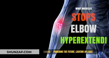 Preventing Elbow Hyperextension: The Role of Your Muscles