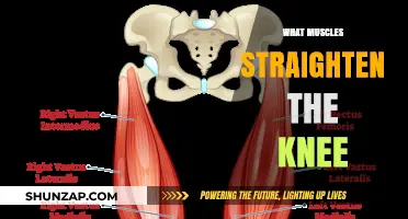 Unlocking the Power of Knee Extension