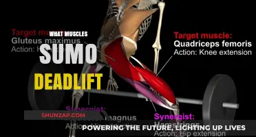 Sumo Deadlifts: Targeting Your Inner Thighs and Glutes