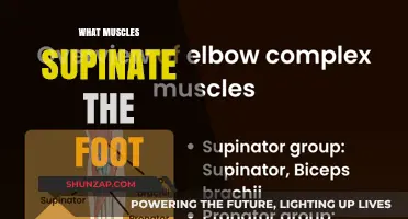 How to Supinate Your Foot: Muscles Involved