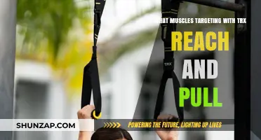 TRX Reach and Pull: Muscles Targeted for Strength and Stability
