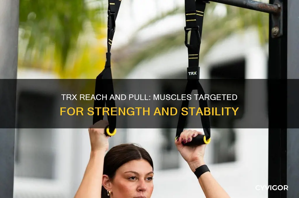 what muscles targeting with trx reach and pull