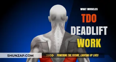 Deadlift Muscles: Unlocking Full-Body Strength and Power Potential