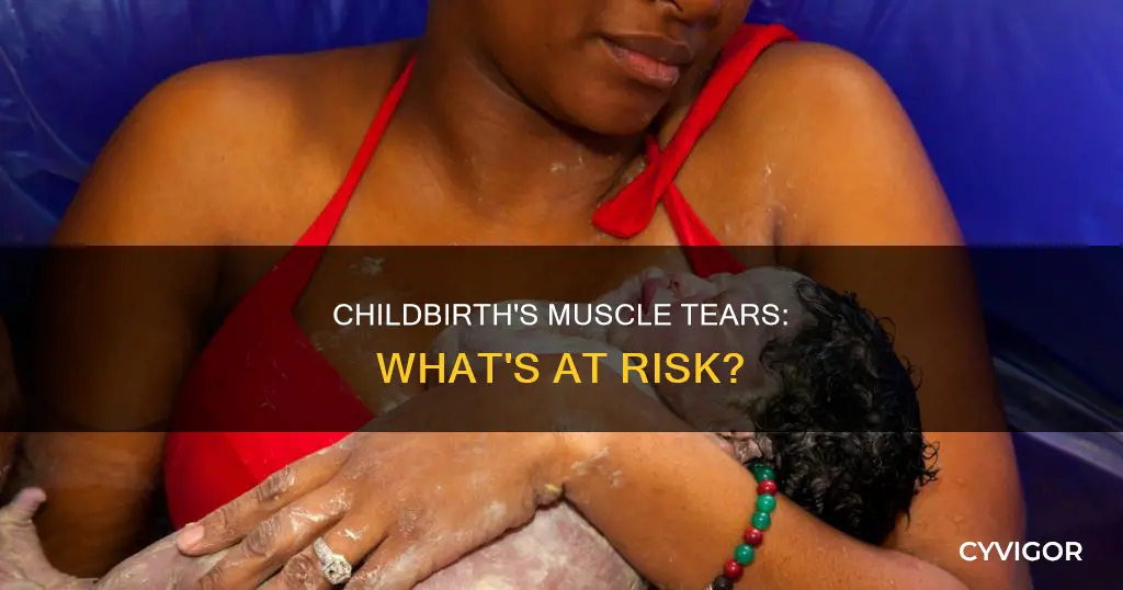 what muscles tear during childbirth
