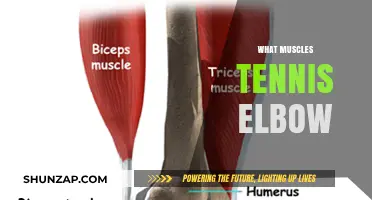 Tennis Elbow: Strengthening and Stretching for Recovery