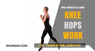 Lunge Knee Hops: Targeted Muscles and Benefits Explained